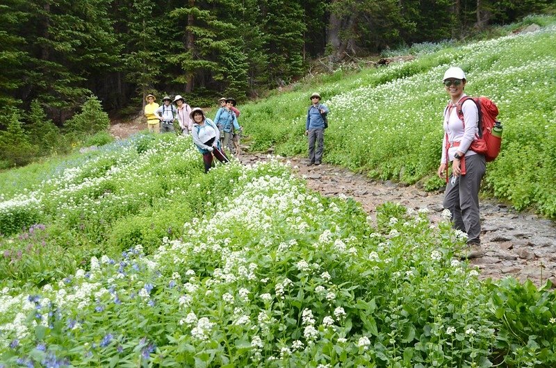 Wildflowers blooming along Butler Gulch Trail (5)