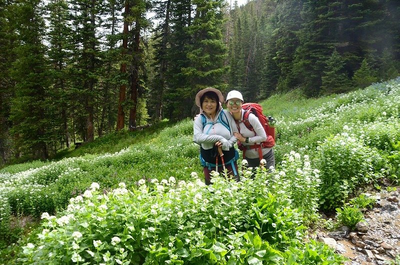 Wildflowers blooming along Butler Gulch Trail (7)