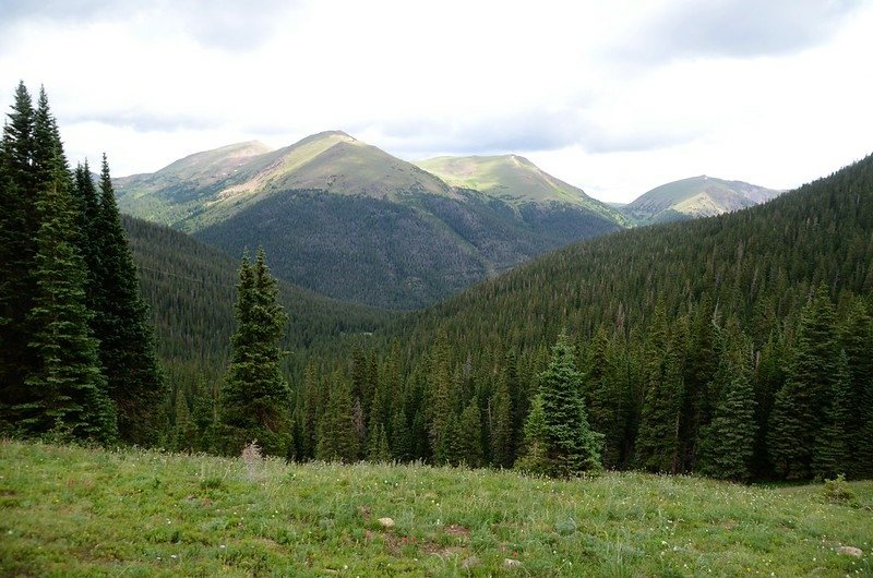 View to the north from Butler Gulch Trail near 11,600&apos; just above the treeline