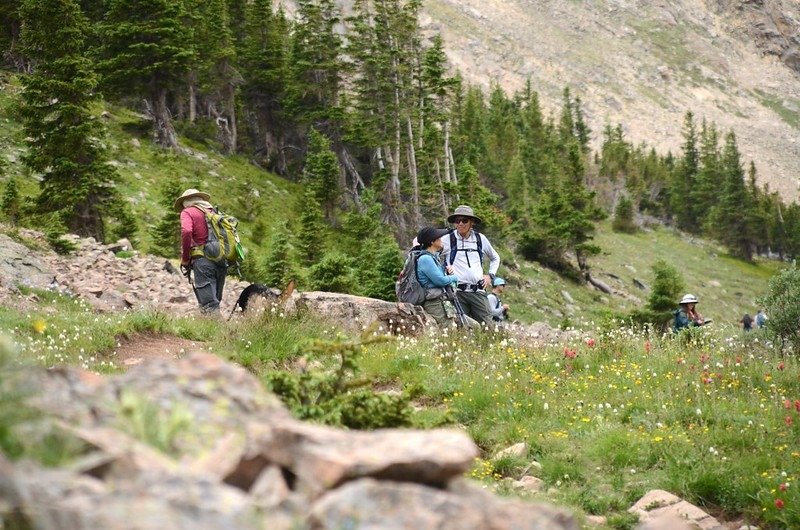 Wildflowers blooming along Butler Gulch Trail (8)