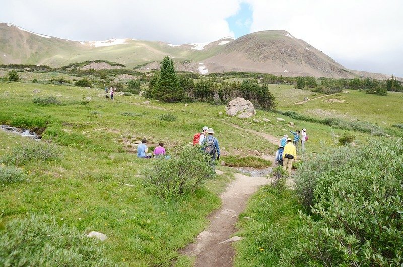 Butler Gulch Creek (1)