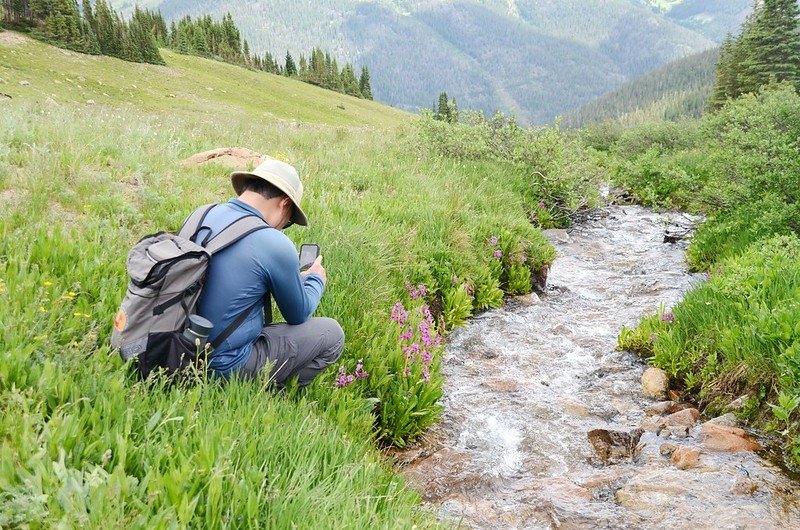 Butler Gulch Creek (2)