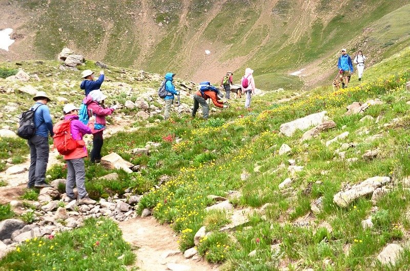 Wildflowers blooming along Butler Gulch Trail (14)