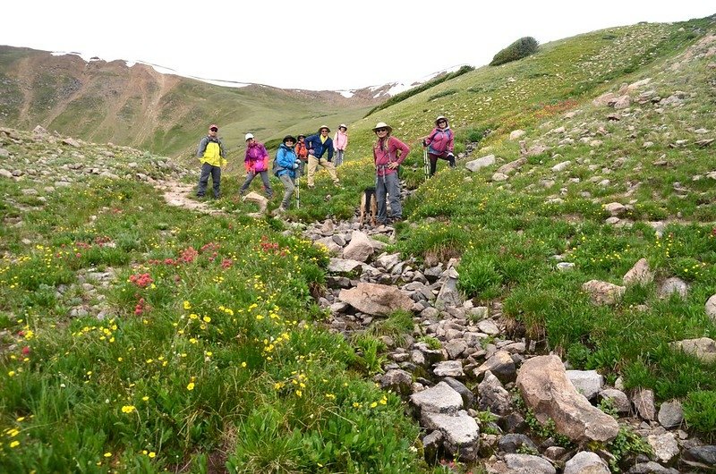 Wildflowers blooming along Butler Gulch Trail (15)