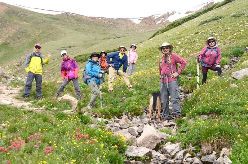 Wildflowers blooming along Butler Gulch Trail (16)