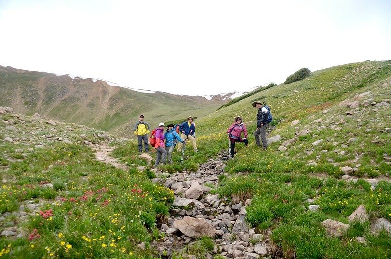 Wildflowers blooming along Butler Gulch Trail (17)