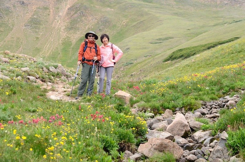 Wildflowers blooming along Butler Gulch Trail (19)