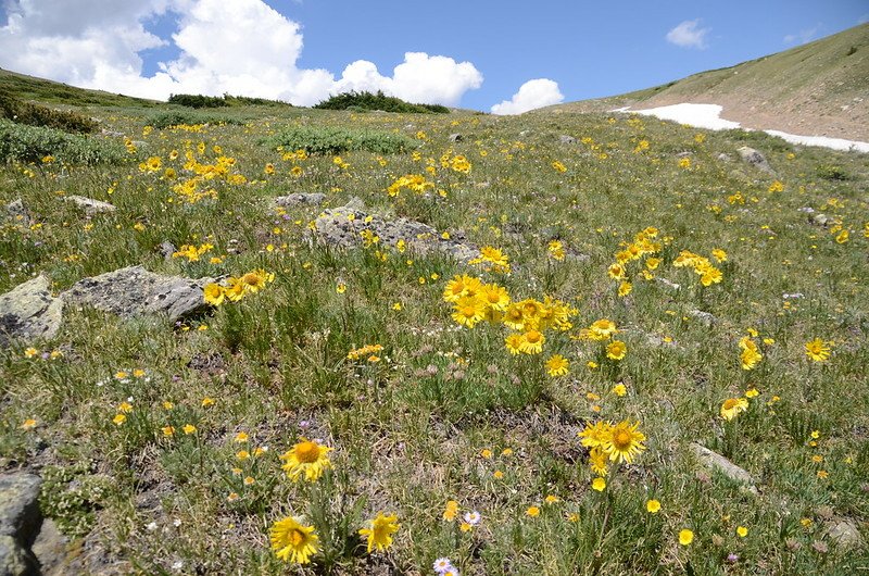 Saint Mary&apos;s Glacier (14)