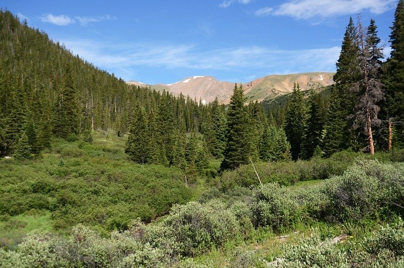 Pentingell Peak from Herman Gulch Trail