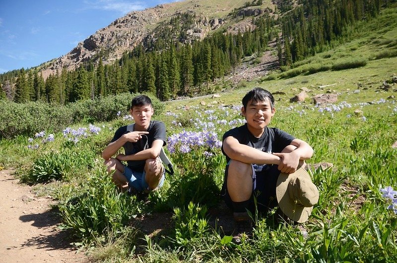 Wildflowers blooming along the trail (7)