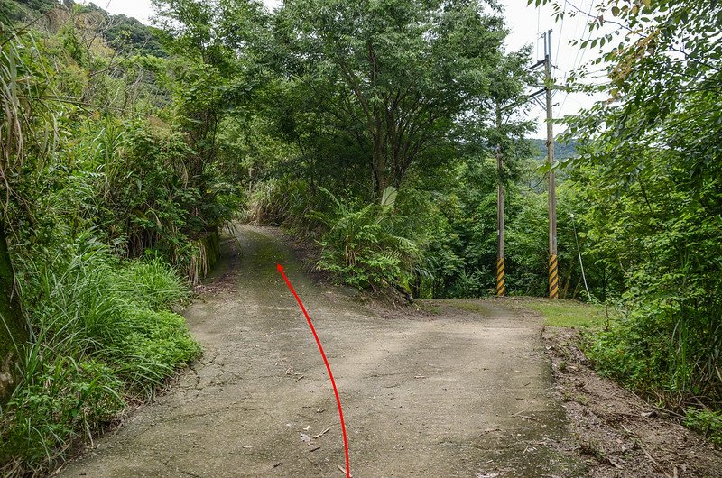 塔羅留山南峰(西大肚關山)行車岔路