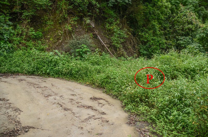 塔羅留山南峰(西大肚關山)小車停車處