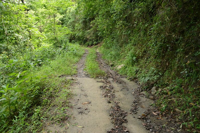 塔羅留山南峰農路鋪設路面轉土石路