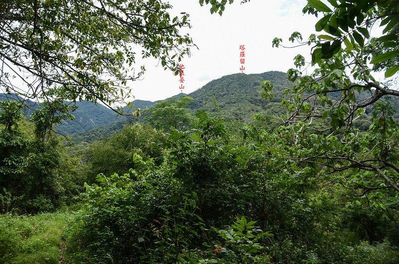 塔羅留山南峰北望塔羅留山