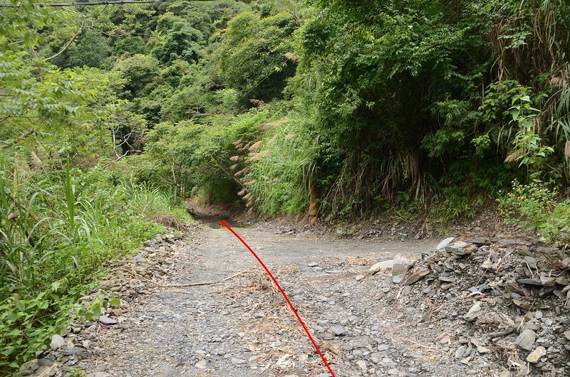 寶山南峰行車岔路 (3)