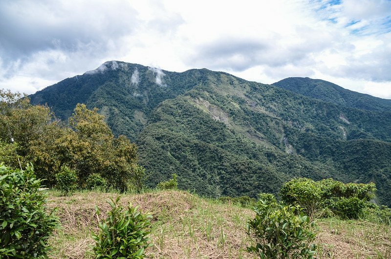 寶山南峰南眺群山 (4)