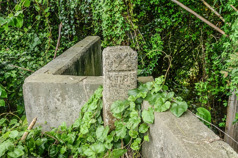 上員山總督府土木局町杭(# 頭前溪左岸4-18 Elev. 80 m) (1)