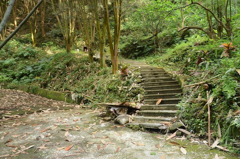 鹿寮坑山紀念亭石階岔路