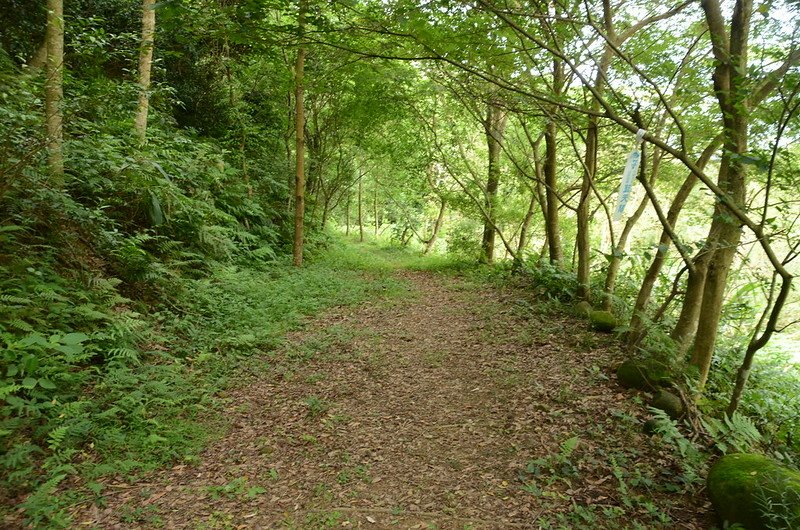 茄苳窩山登山步道 (1)