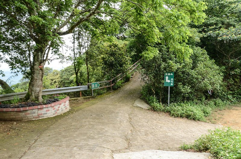 雞寮坑山芎林、關西岔路