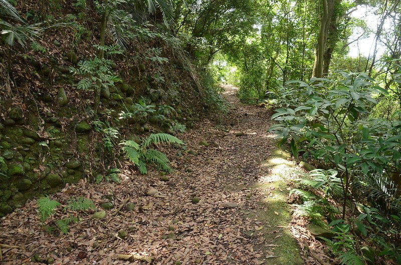 三爺坑山登山步道 (2)