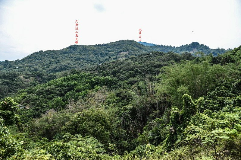 六、杉聯絡道路(H 350 m)東望六秀坑山東北峰