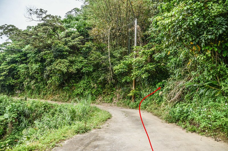 龍頂山登山口