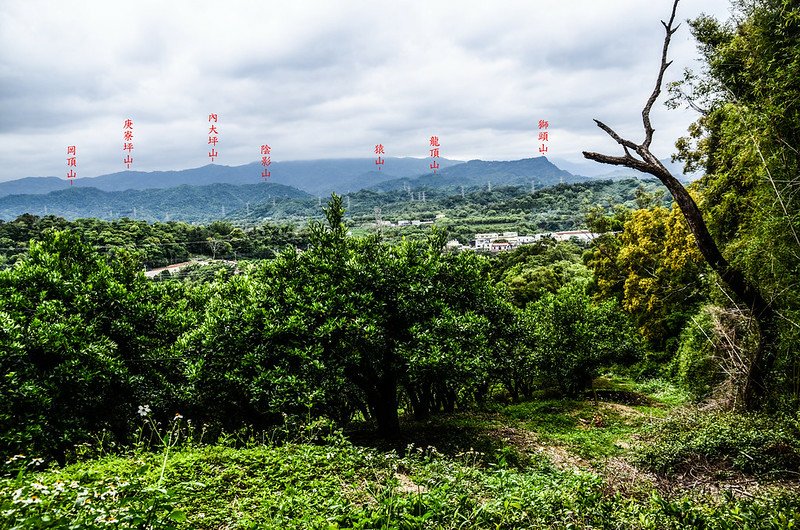 石井山東南望群山