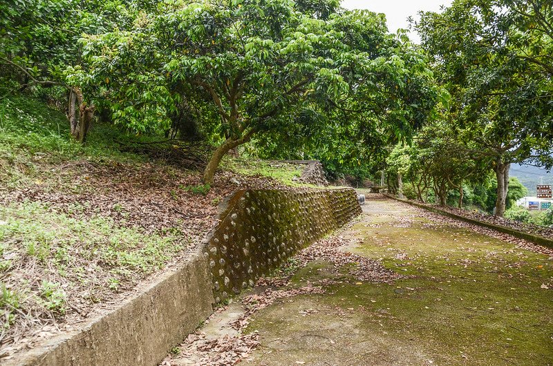 富興頭山登山路線