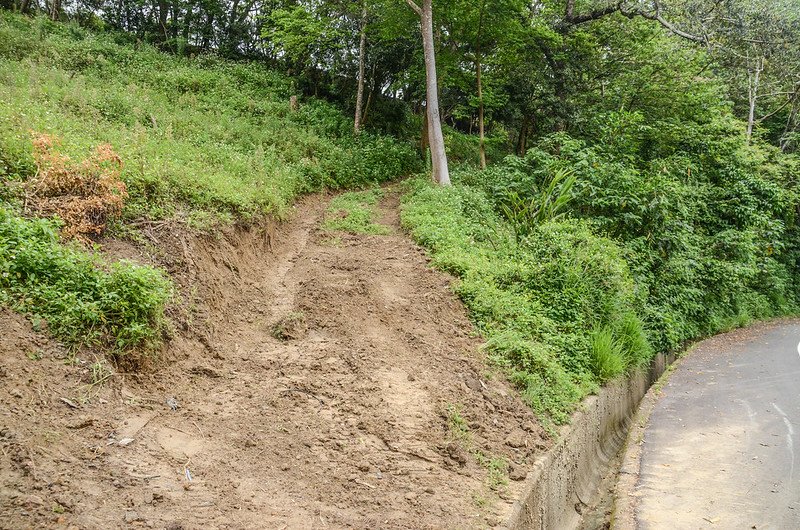 富興后山登山口