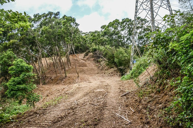 富興后山登山路徑