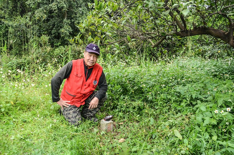 上河背冠字野(32)土地調查局圖根點