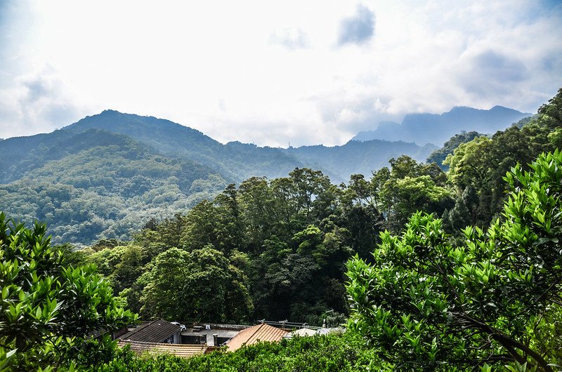 五分寮頂山產道東南望五指山