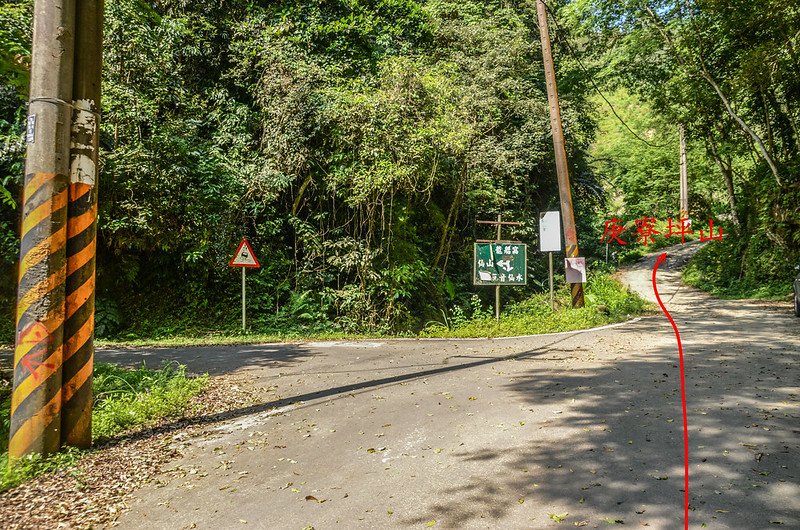 焿寮坪山上山產道起點岔路