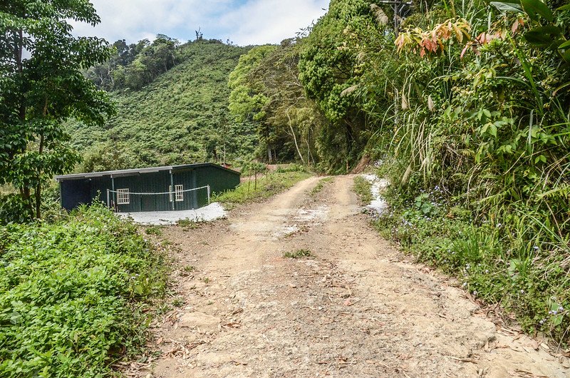 焿寮坪山產道民房