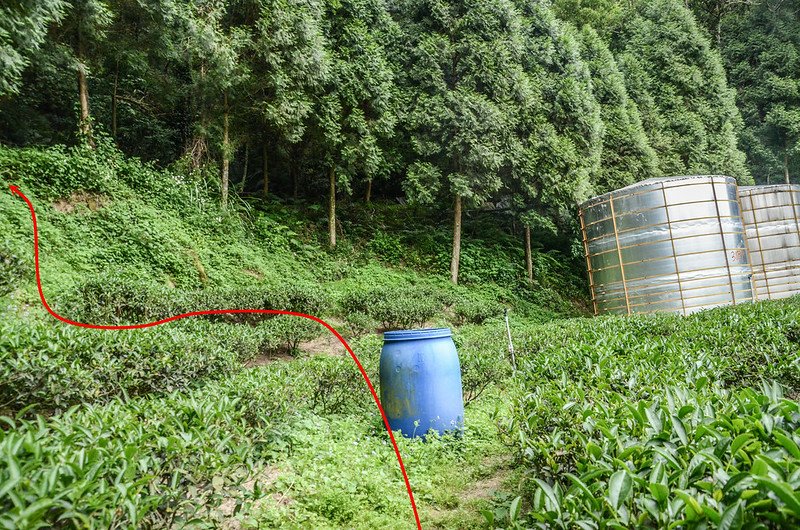 石岡山登山山徑蓄水槽上切處