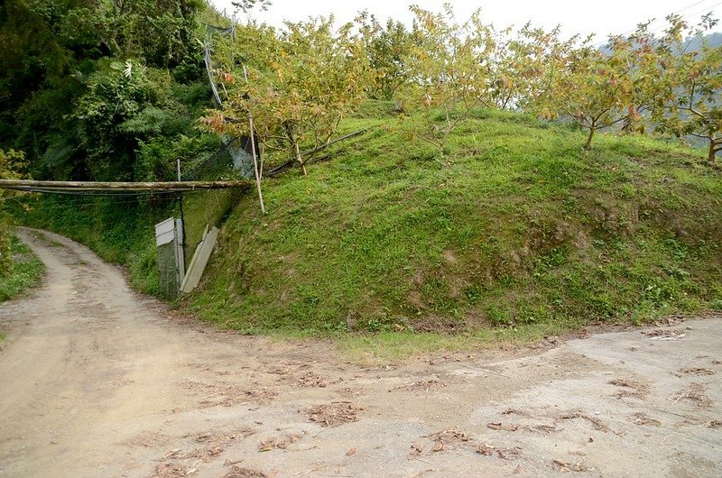 觀音山東北峰產道2.2K平台岔路