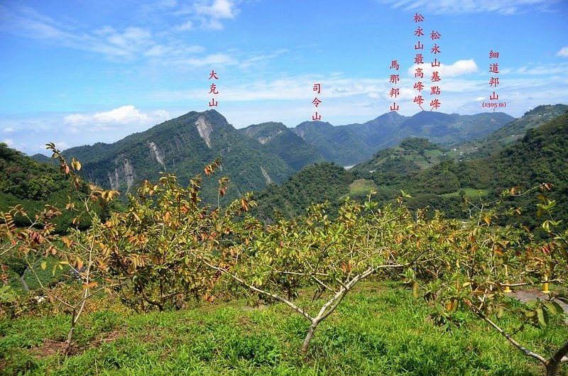 觀音山東北峰產道(H 880 m)西北望馬克連稜 1-1