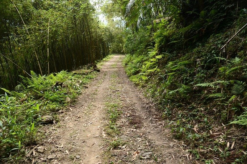 觀音山東北峰產道