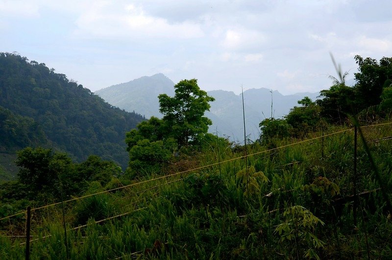 觀音山東北峰西北望馬克連稜