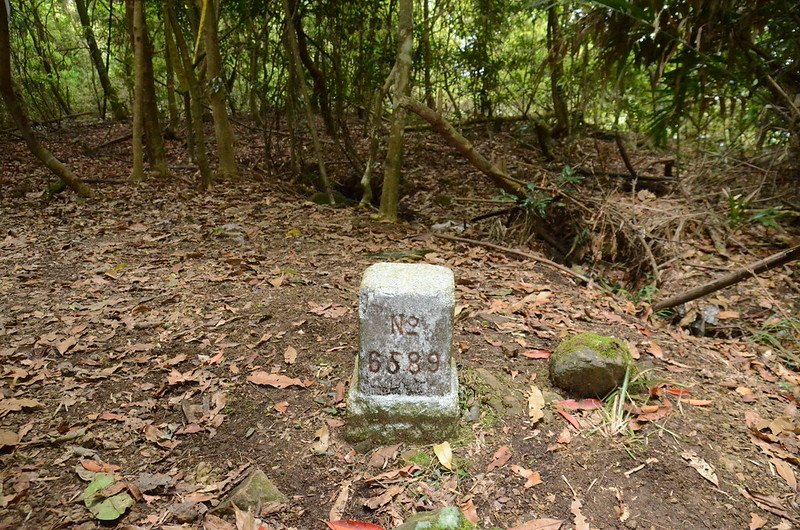 和平觀音山三等三角點(# 6589 Elev. 1251 m) (1)