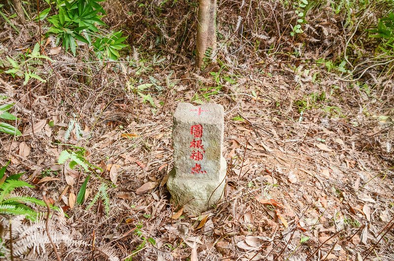 新生山台灣省政府圖根補點(Elev. 560 m) (2)