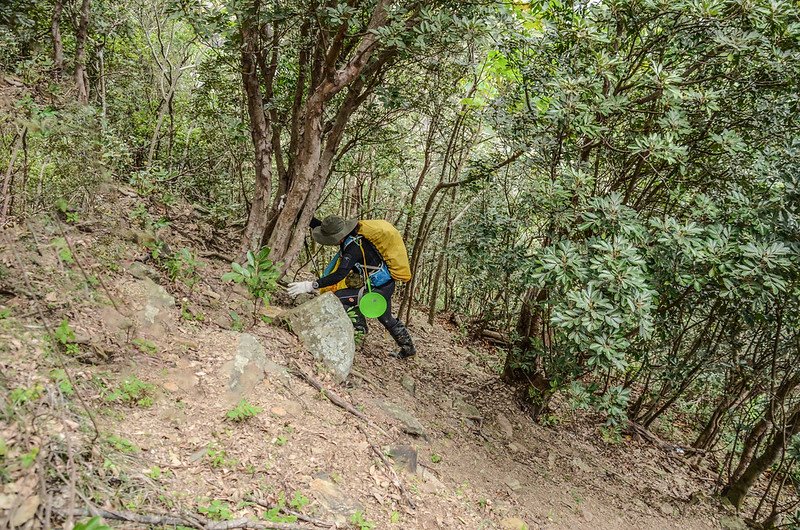 汀掛山東北峰登山路線 (7)