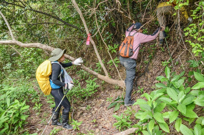 南大溪山登山廢產道山徑入口