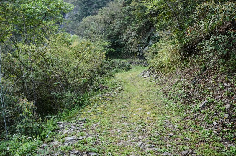 小鬼湖林道 (2)