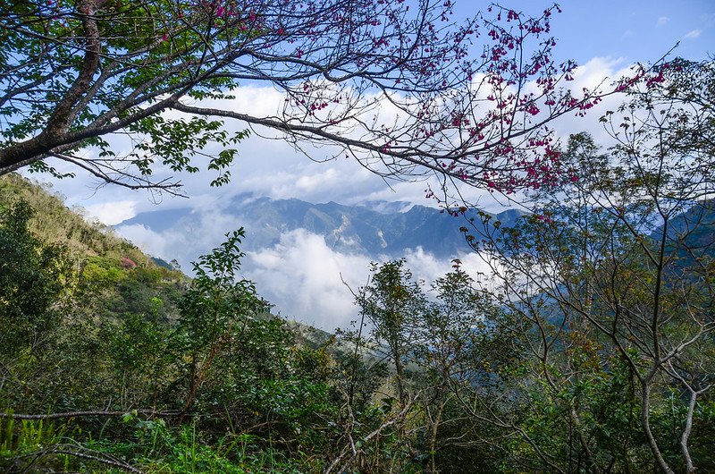 小鬼湖林道北眺群山 (4)