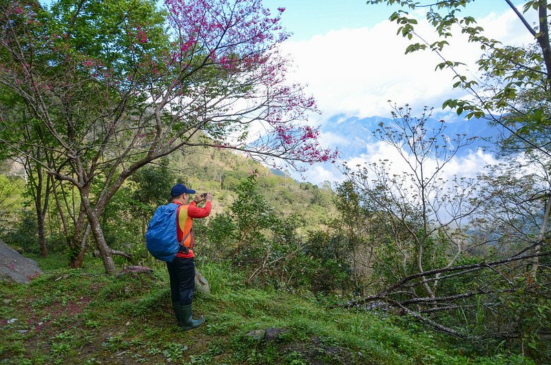 小鬼湖林道北眺群山 (5)