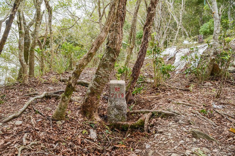 亞泥笛山7119號三等三角點