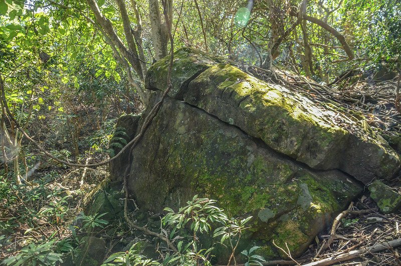 后山西南稜岩石山頭 (1)