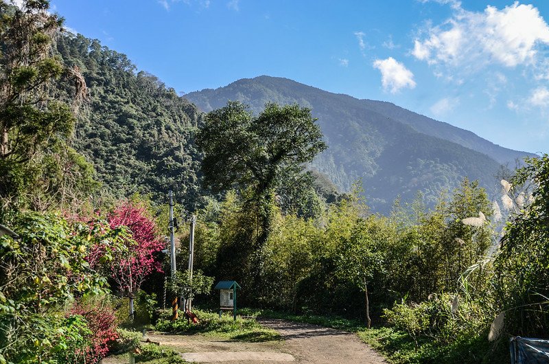 洗水山腦寮庄登山口東望洗水山